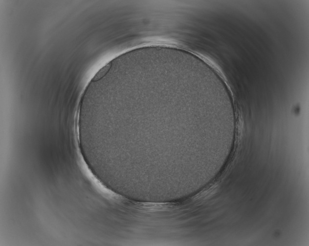 X0000114641391200912011038