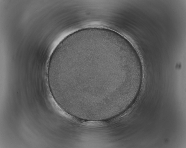 X0000114641392200912011038