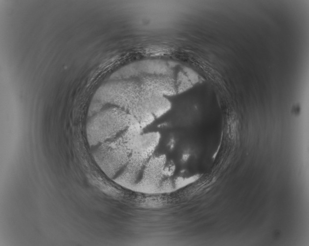 X0000114641393200912011038