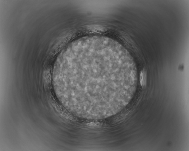 X0000114641395200912011038