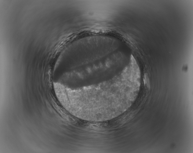 X0000114641396200912011038