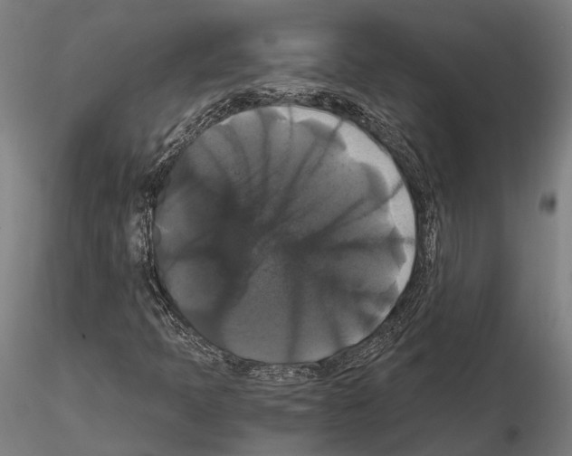 X0000114641397200912011038