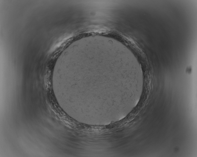 X0000114641399200912011038