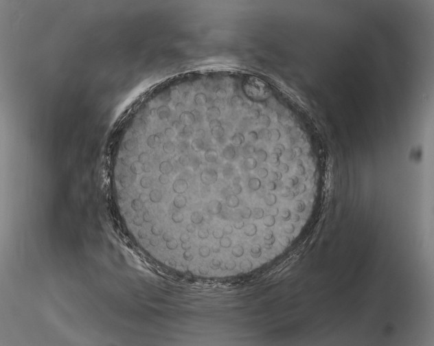 X0000114641400200912011038