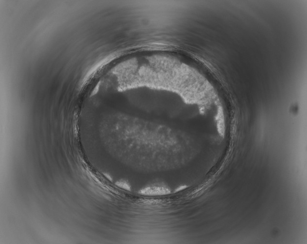 X0000114641402200912011038