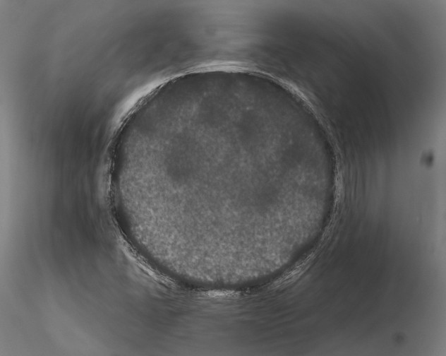 X0000114641406200912011038