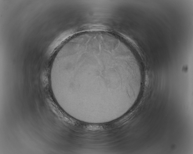 X0000114641407200912011038