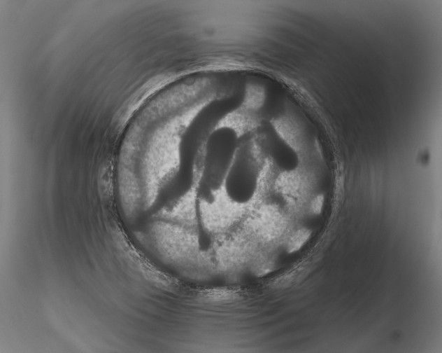 X0000114641409200912011038