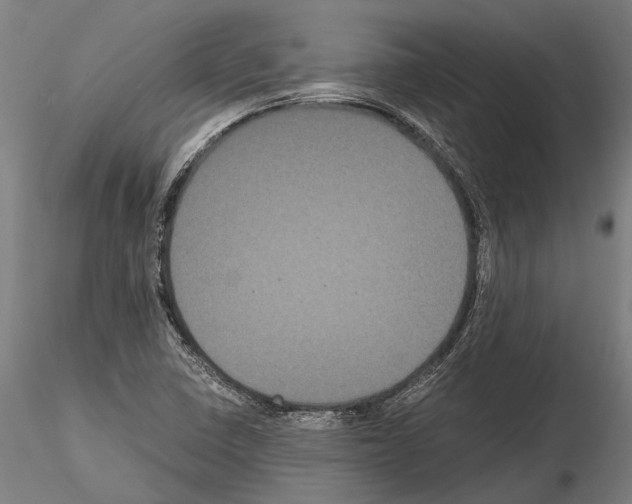 X0000114641410200912011038