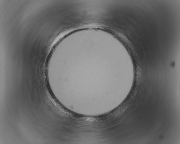 X0000114641412200912011038