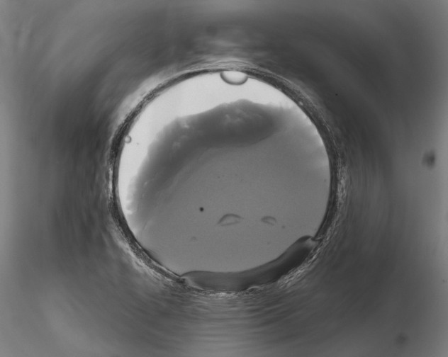 X0000114641414200912011038