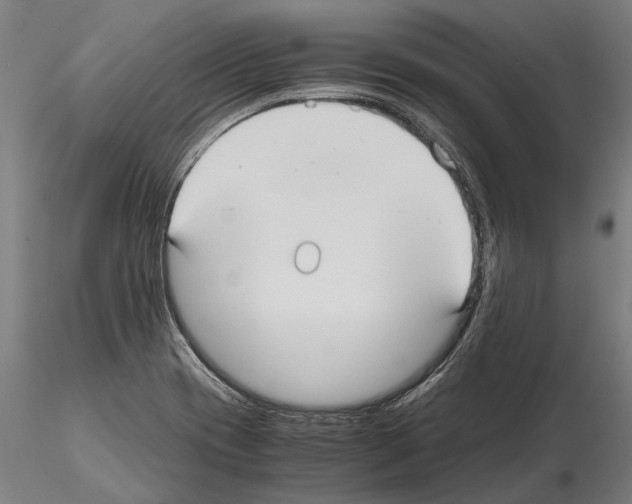 X0000114641417200912011038