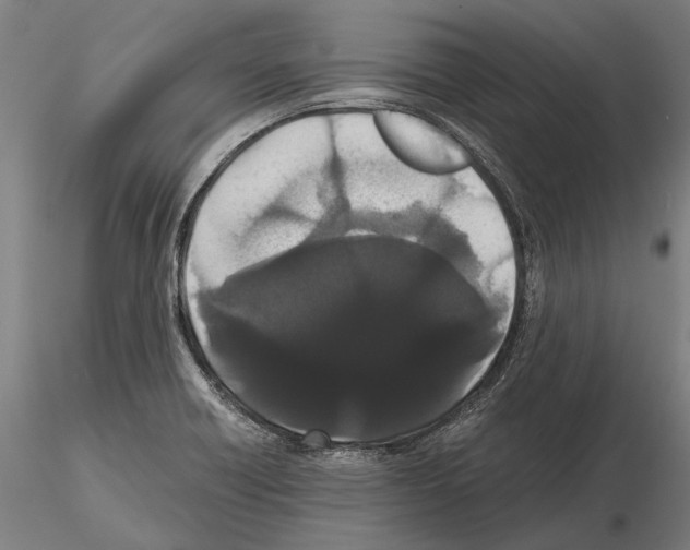 X0000114641418200912011038