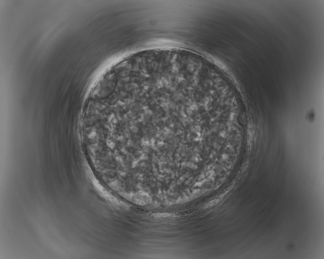 X0000114641421200912011038