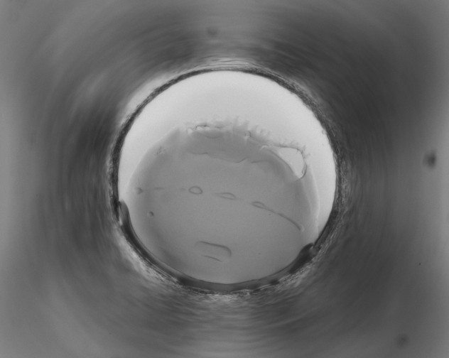 X0000114641422200912011038