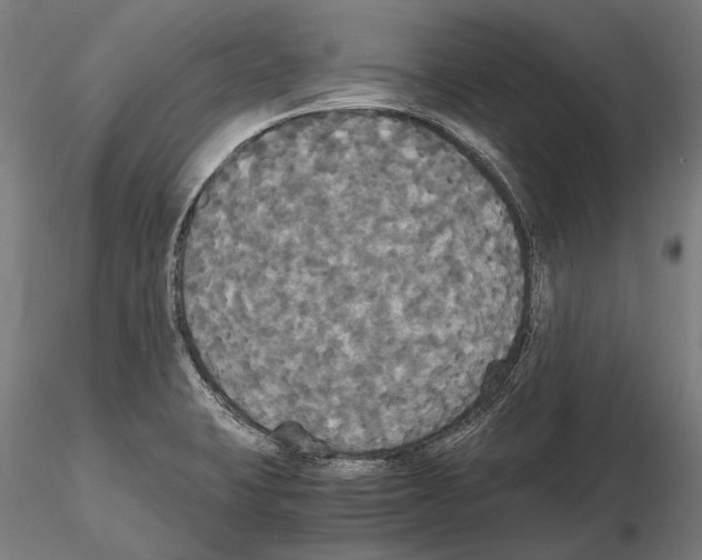 X0000114641423200912011038