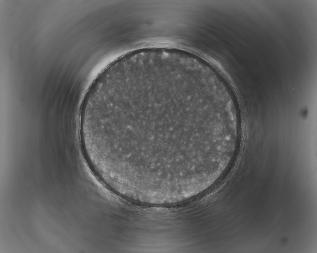 X0000114641424200912011038