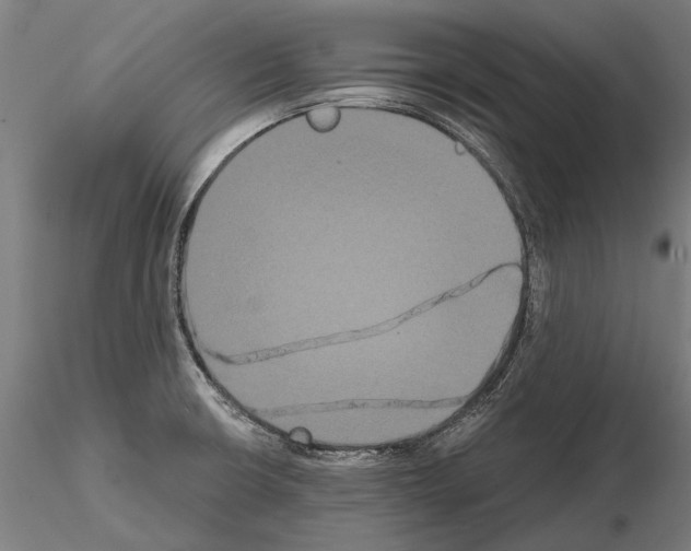 X0000114641426200912011038