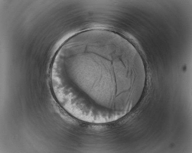 X0000114641427200912011038