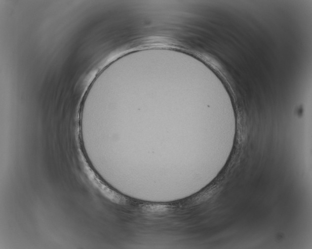 X0000114641431200912011038