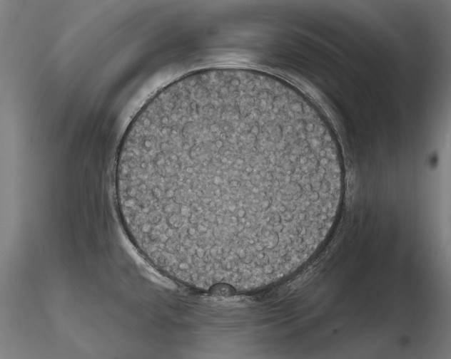 X0000114641432200912011038