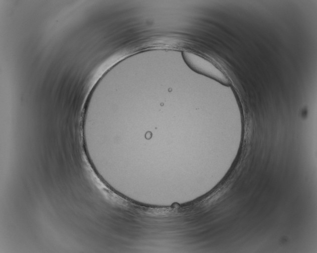 X0000114641434200912011038