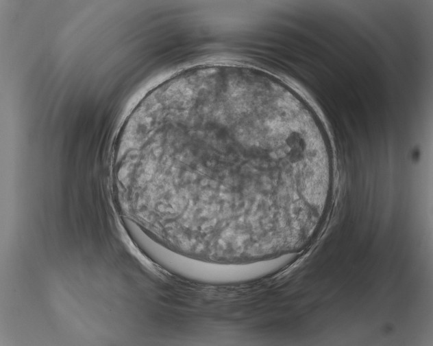 X0000114641437200912011038