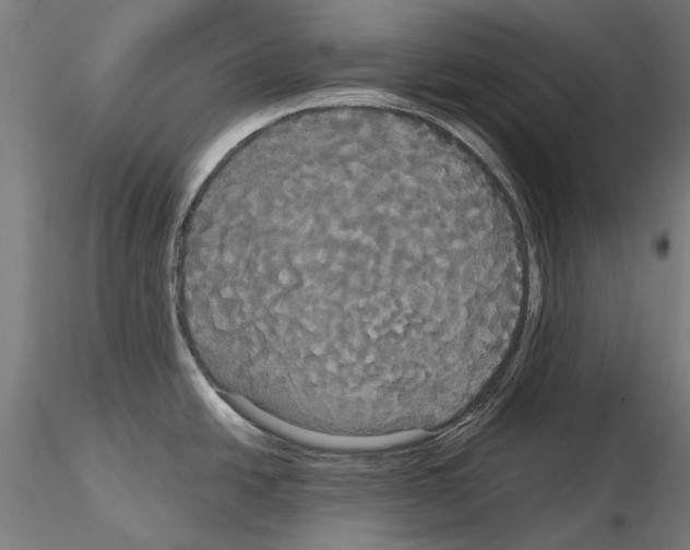 X0000114641438200912011038