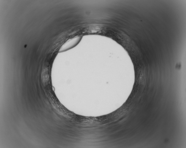 X0000114641442200912011038