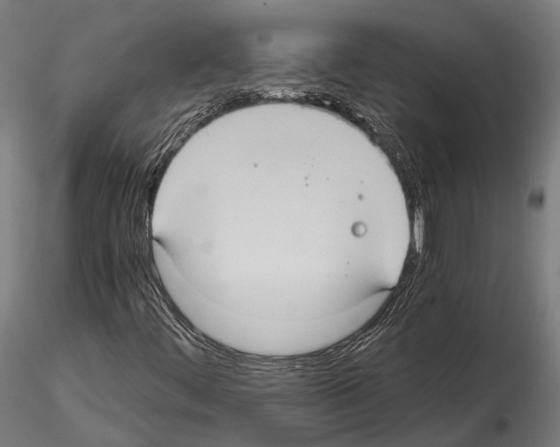 X0000114641444200912011038