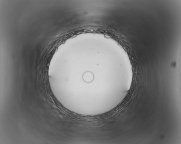 X0000114641445200912011038