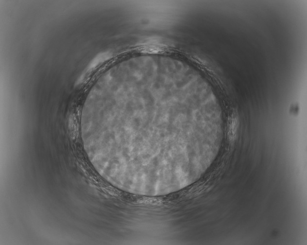 X0000114641446200912011038