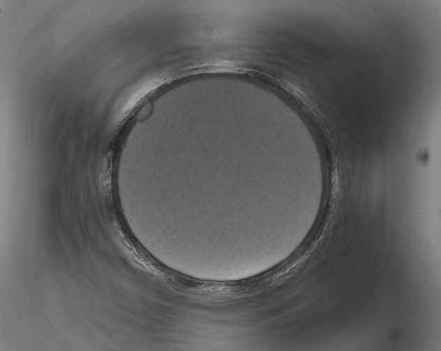 X0000114641450200912011038