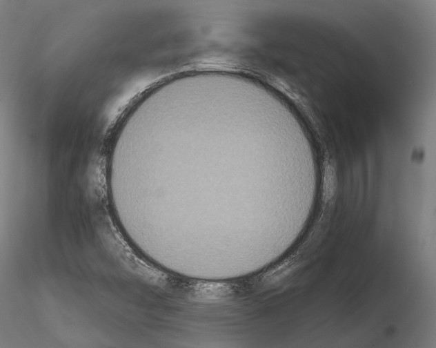 X0000114641454200912011038