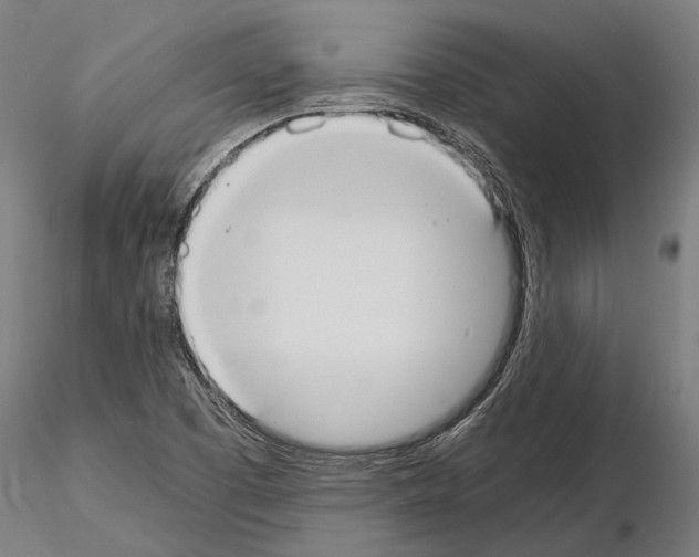 X0000114641457200912011037
