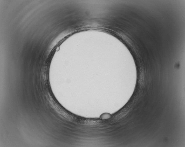 X0000114641458200912011037