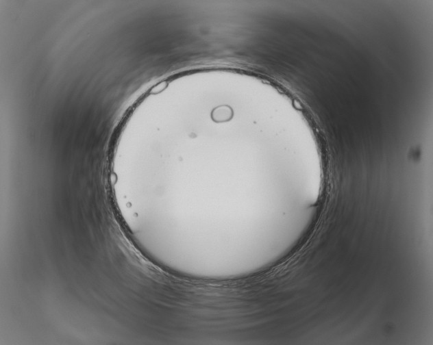 X0000114641460200912011037