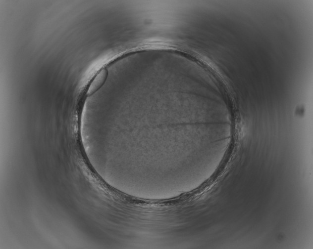 X0000114641461200912011037