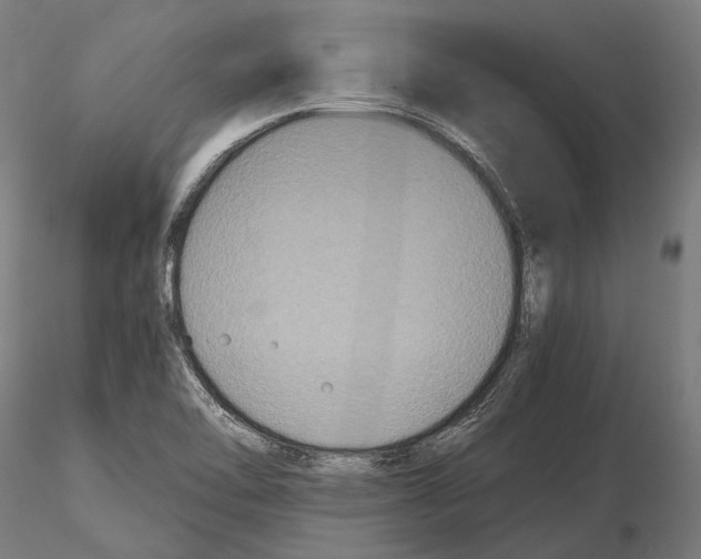 X0000114641462200912011037