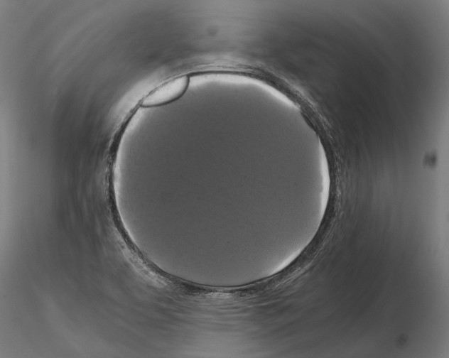 X0000114641463200912011037
