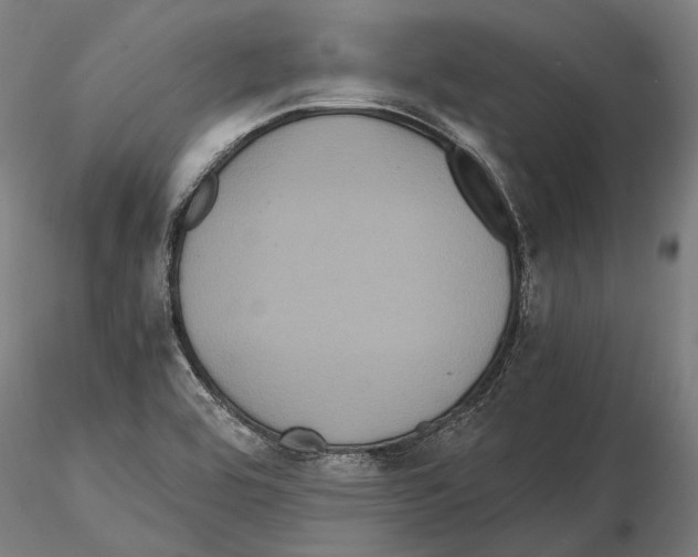X0000114641464200912011037