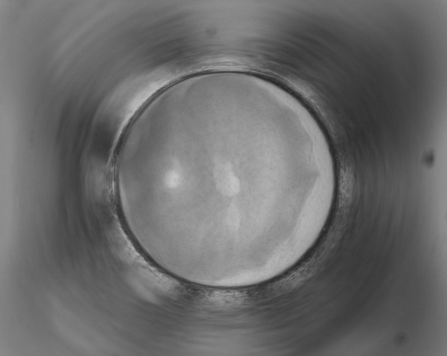 X0000114641466200912011037