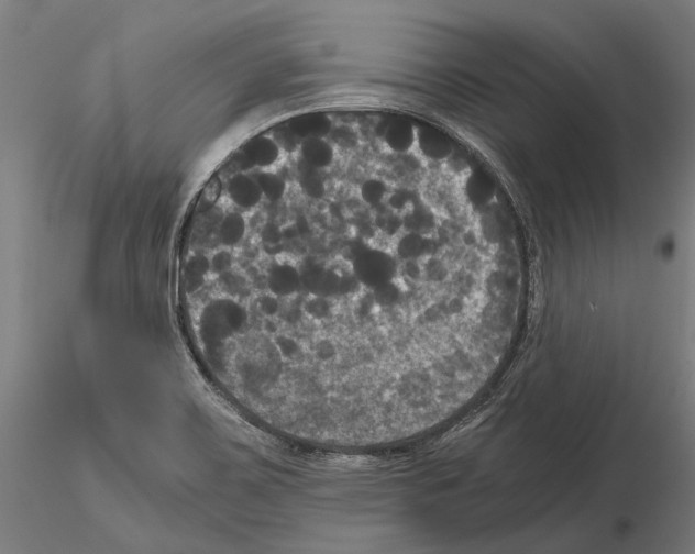 X0000114641467200912011037
