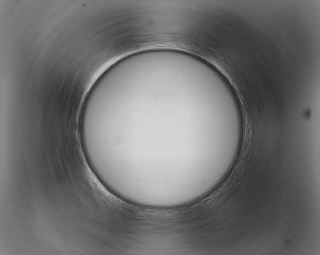 X0000114641468200912011037
