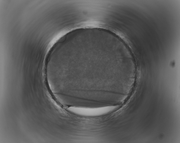 X0000114641469200912011037