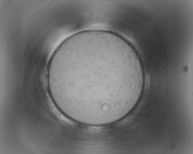 X0000114641470200912011037