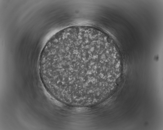 X0000114641471200912011037