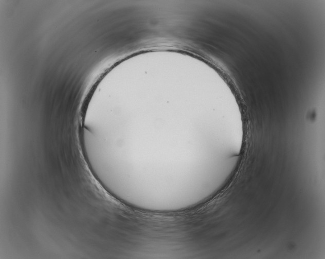 X0000114641472200912011037