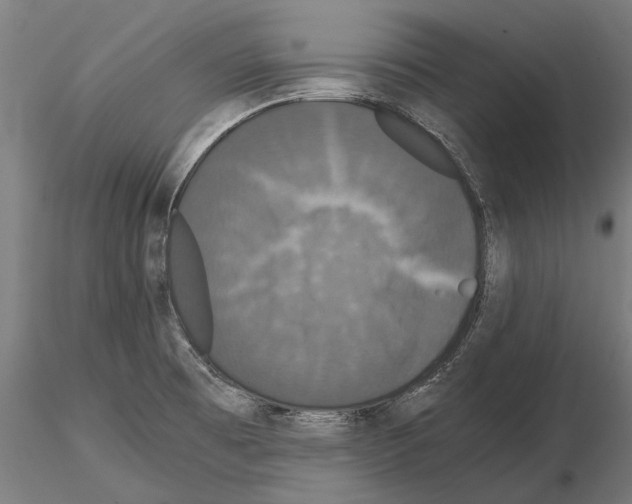 X0000114641473200912011037