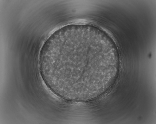 X0000114641475200912011037